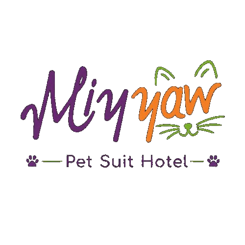 Miyyaw